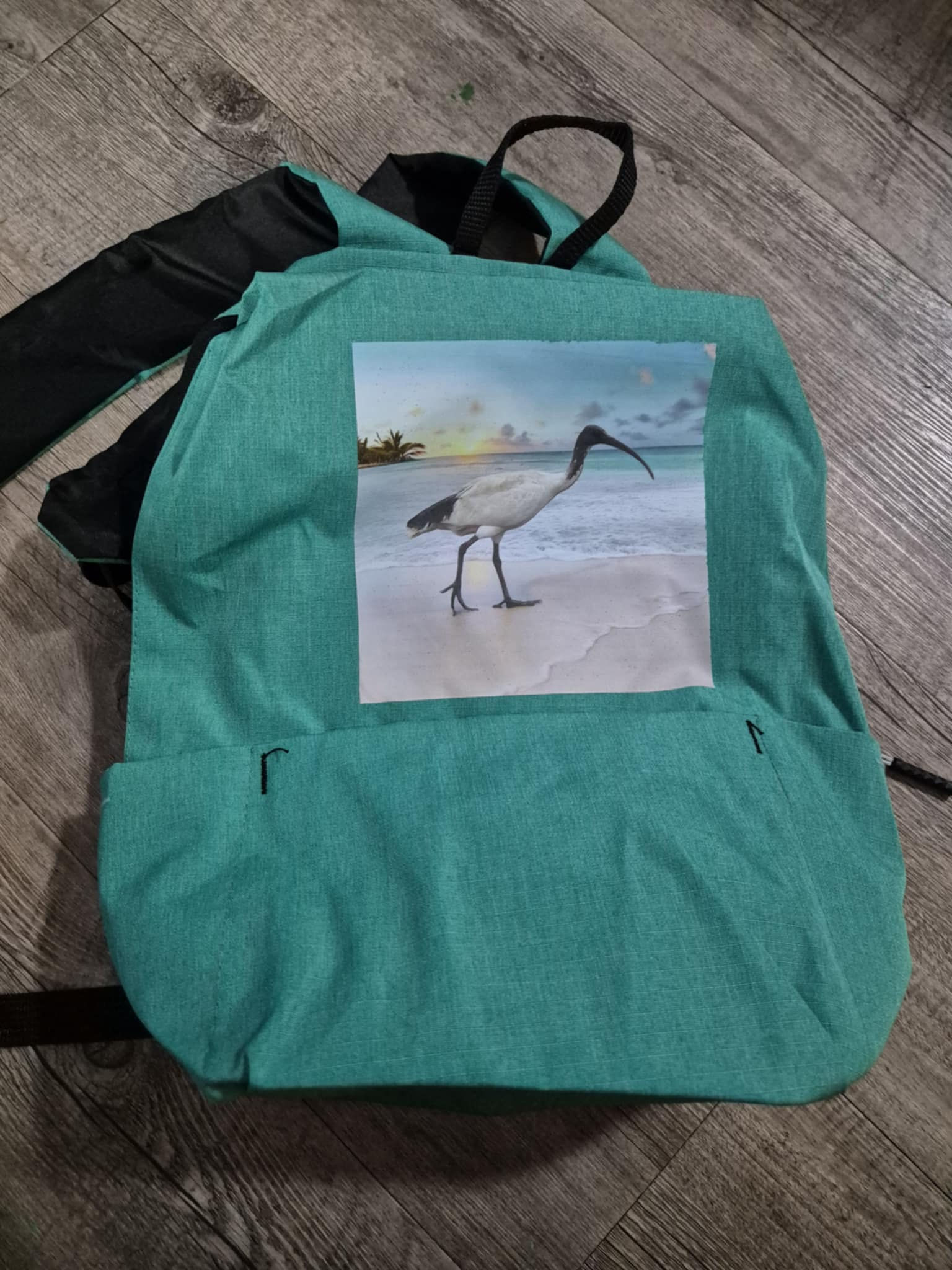 Ibis Backpack