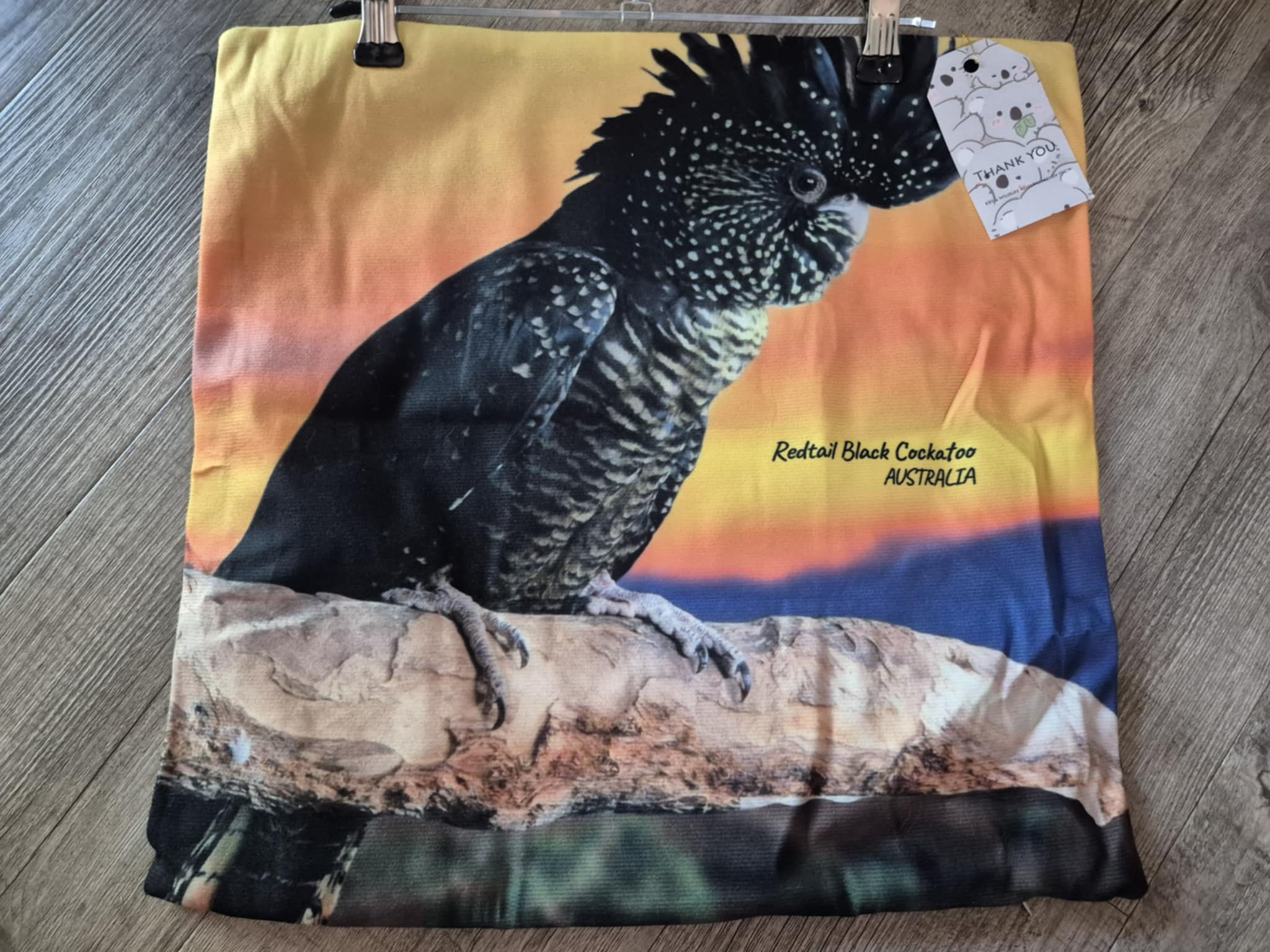 Redtail Black Cockatoos