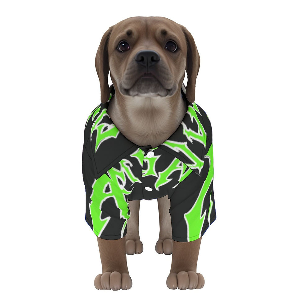 サムネイル： Hawaiian Shirt