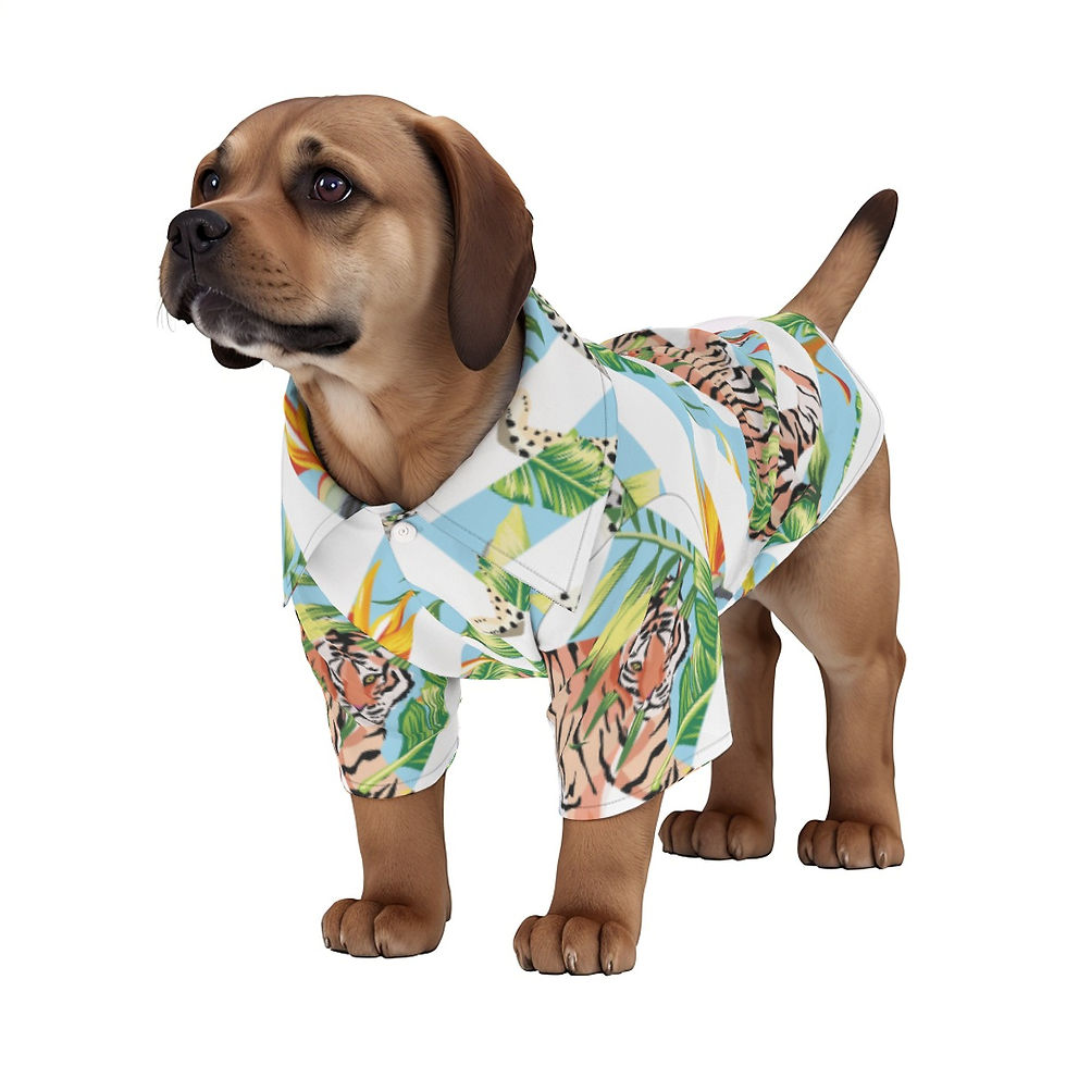 Miniatura: Hawaiian shirt