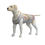 Miniatura: Dog tank top