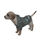 Miniatura: chasing leaves pullover hoodie