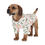 Miniatura: Pet‘s Hawaiian Shirt