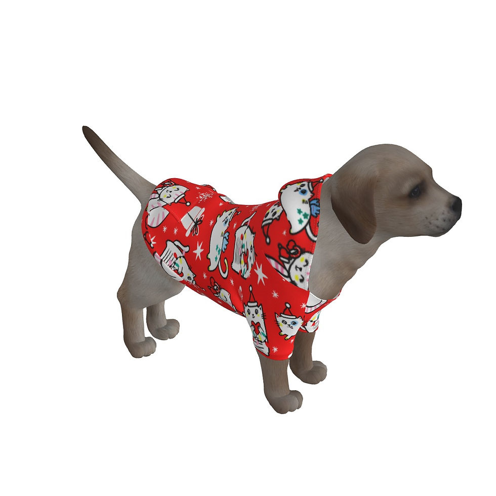 Miniatura: Pullover Hoodie