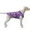 Miniatura: Big Dog's Tank Top