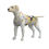 Miniatura: Dog tank top