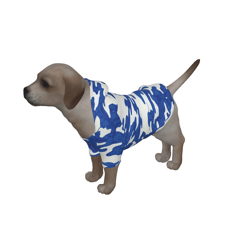 Miniature : Blue and white pullover hoodie