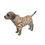 Miniatura: brown and white pullover hoodie