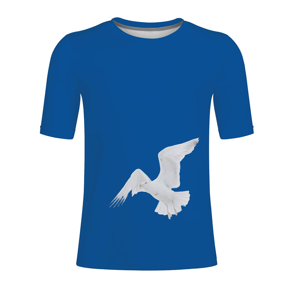 Miniaturbild: Men's T-shirts