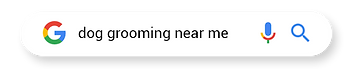 "dog grooming near me" google search