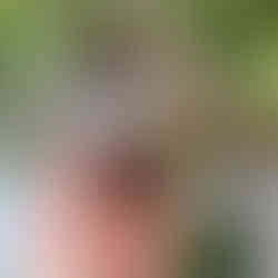 Imagem da trufa relaxante