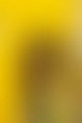 [中] 灰色都市中綻放繽紛
──淺評《玩物感廊》及《Urban Playground》