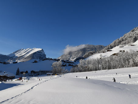 Ausblick vom Appartement