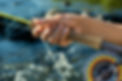 iStock-1353147847.jpg