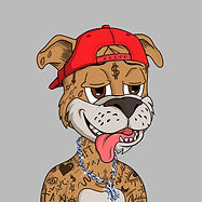Chill Dogs 2.jpeg