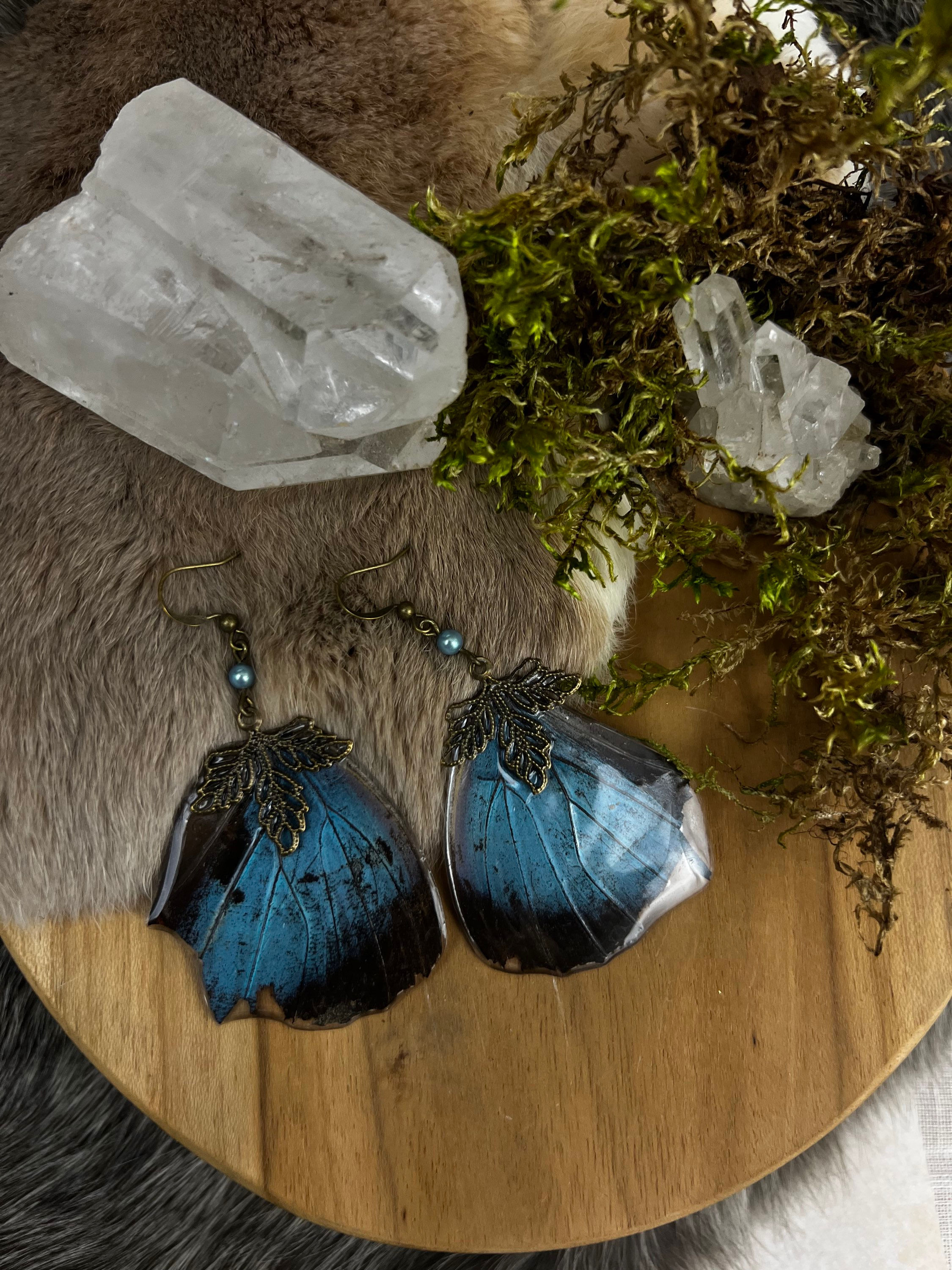 Morpho Earrings 