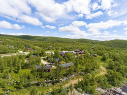 oversikt sommar