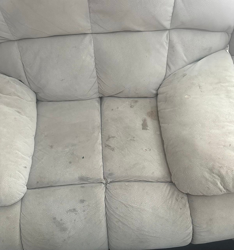 dirty couch2