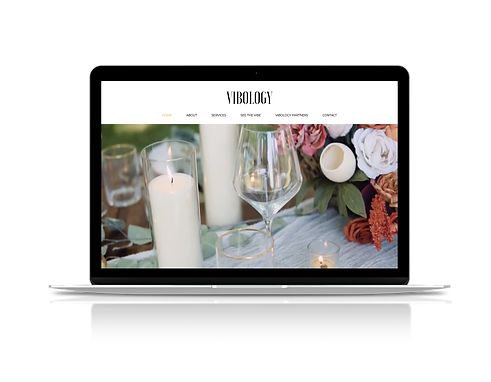 viboloby mockup.png