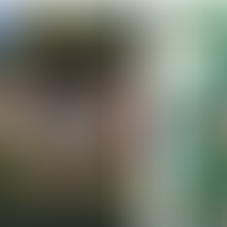 De l'électricité pour la Finca el rocio