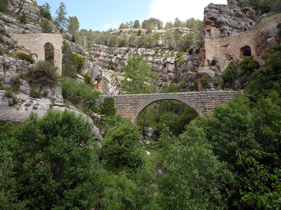 Excursiones
