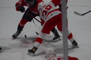 D'Intino 38 - 003.jpg