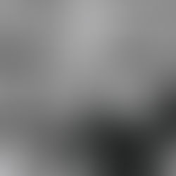 No Intenso Agora: ninguém sabe o que está filmando