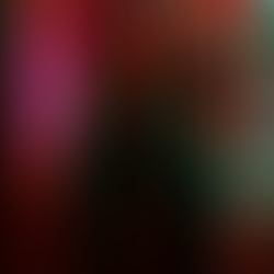 16º For Rainbow: humor tragicômico nas crônicas urbanas de Pernambuco