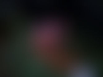 📰 Karim Aïnouz e Anita Rocha da Silveira na mira de Cannes 2021