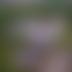 Stalking Chernobyl: cultura da tragédia