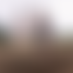 24ª Mostra Tiradentes: guia de críticas