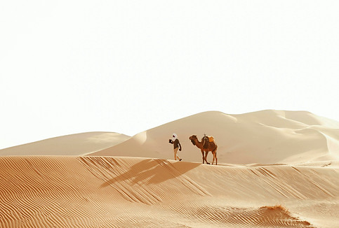 DESERT_edited.jpg