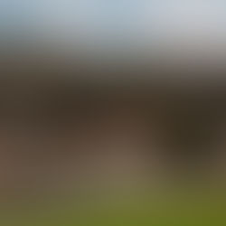 The Ranch at Laguna Beach