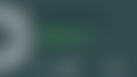 Manual QA  - სტაჟირება