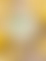 mèche en coton & non testées sur les animaux