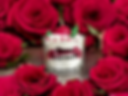 Photoroom_20250108_134100.jpeg