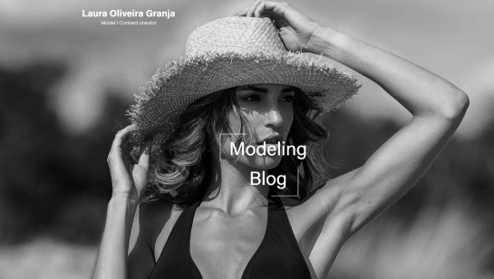 model website and blog example