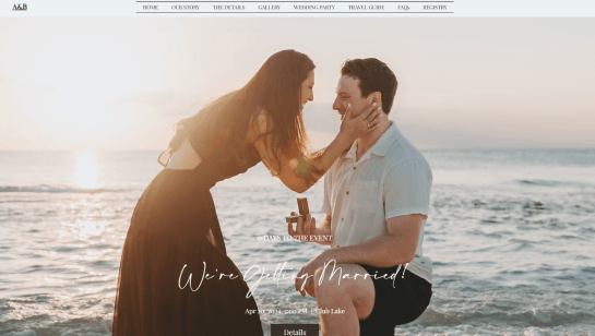 classic wedding website inspiration
