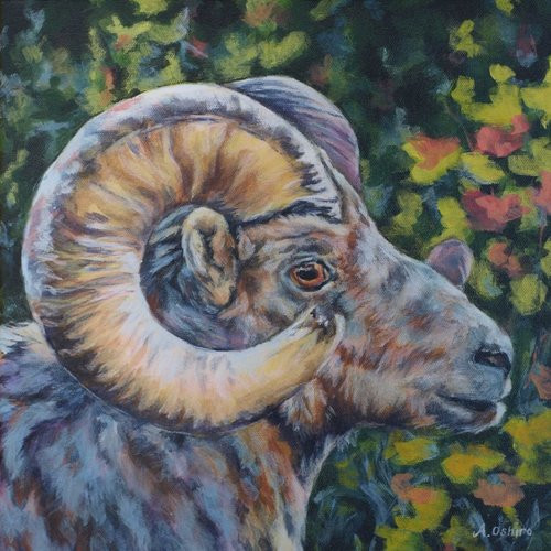 Thumbnail: Art Prints - Animals