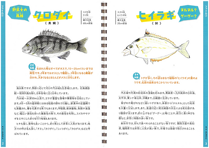 内川手作り魚図鑑-02.pdf.png