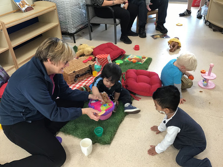 A Teddy Bear's Picnic