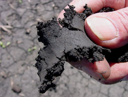 Prueba tipo de suelo, aplastamiento