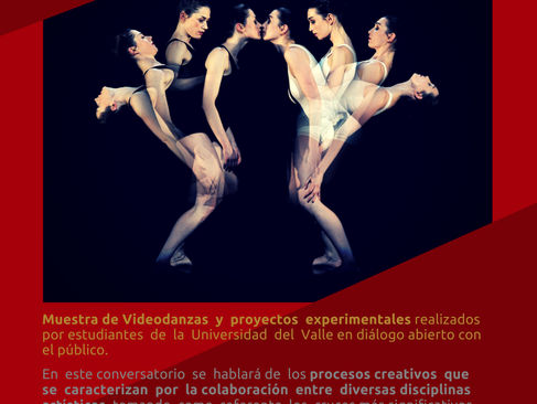 PROCESOS TRANSDISCIPLINARES: CRUCES ENTRE DANZA Y ARTES VISUALES