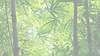 jungle bg (2).png