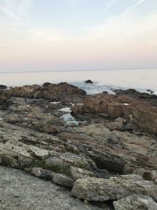 Year Without Shopping August