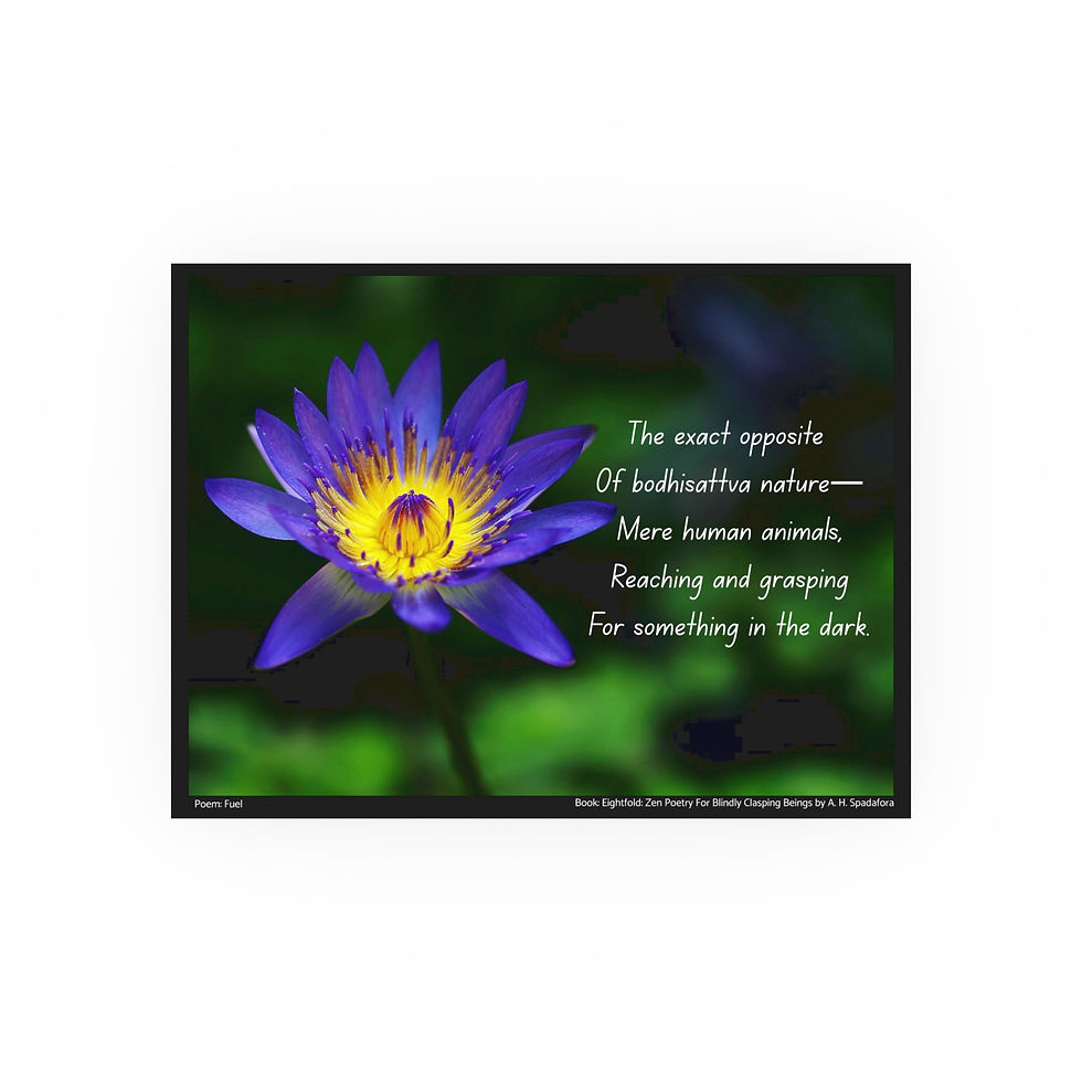 Thumbnail: Dark - Zen Poetry - Human Nature - Wall Art Poster