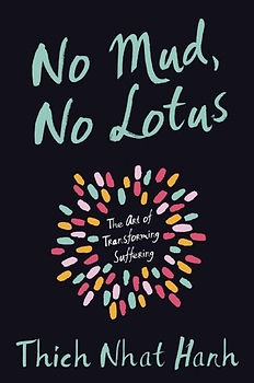no-mud-no-lotus.jpg