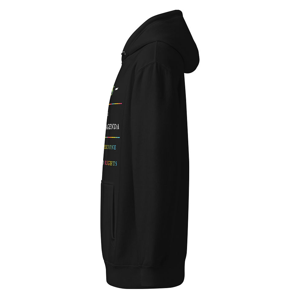 Thumbnail: Pan-Sexual Agenda | Unisex premium mid-weight hoodie