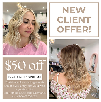 new client offer.png