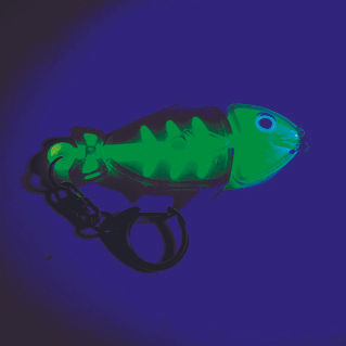サムネイル： 暗やみで光る魚君！